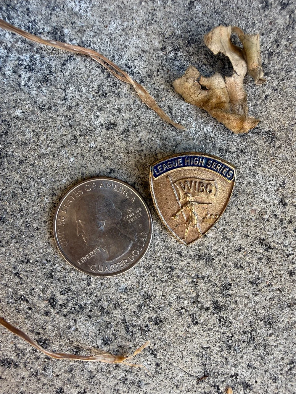 Vintage League High Series WIBC Brass Pin - Blue & Gold